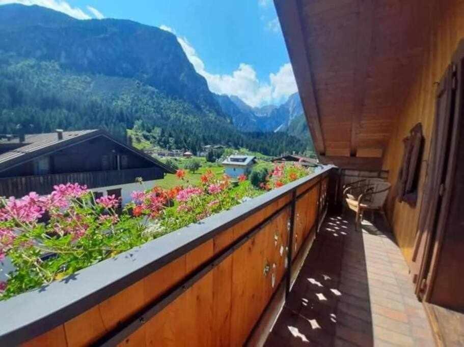 La Mansarda In The Dolomites Jacuzzi Apartment Santo Stefano Di Cadore Exterior photo